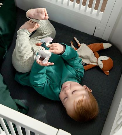 Sebra Activiteiten wissen - Sparky de vos Sebra Activiteiten wissen - Sparky de vos