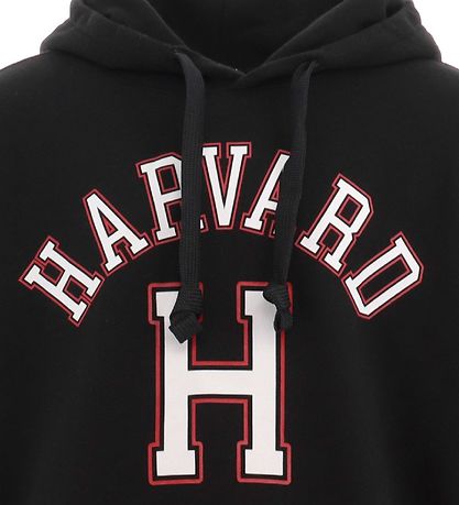 Sweat à Capuche Champion Fashion - Noir Sweat à Capuche Champion Fashion - Noir