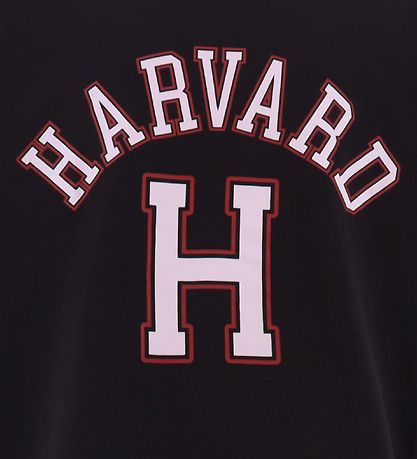Champion T-shirt - Havard H - Black