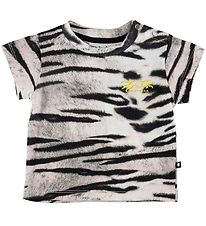T-Shirt Molo - Emilio - Tigre White T-Shirt Molo - Emilio - Tigre White