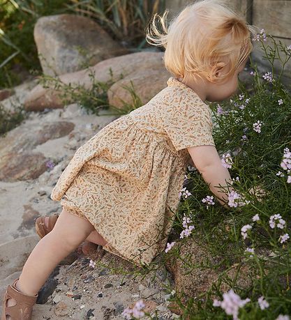 Wheat Dress - Nova - Grasses And Seeds