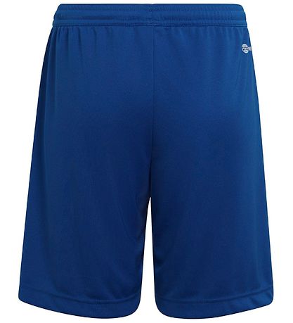 adidas Performance Shorts - Blå/Hvit