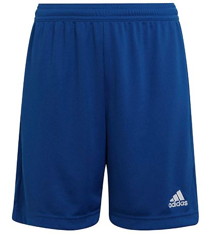 adidas Performance Shorts - Blå/Hvit