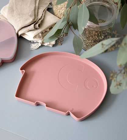Sebra Plate - Silicone - Fanto - Blossom Pink