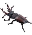 Papo Deer Beetle - L: 7 cm Papo Deer Beetle - L: 7 cm