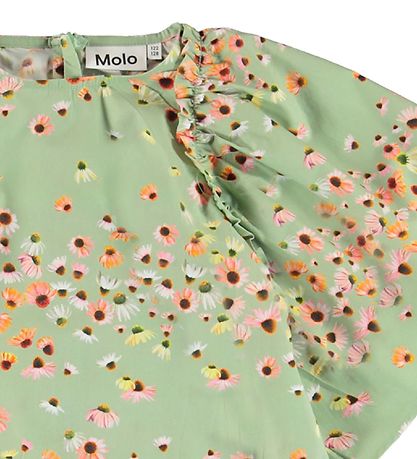 Molo Dress - CAT - Echinacea Mini