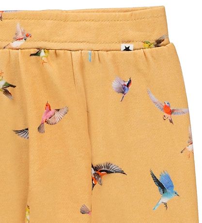 Molo Hosen - Baumwolle - Hosen - Sona - Mini Birds