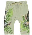 Molo Trousers - Sabb - Fern Climbers Molo Trousers - Sabb - Fern Climbers