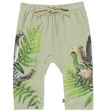 Molo Trousers - Sabb - Fern Climbers
