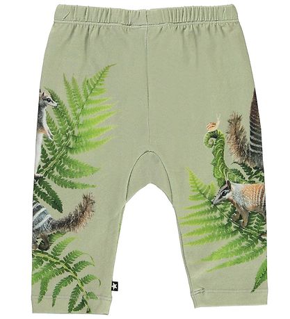 Molo Trousers - Sabb - Fern Climbers