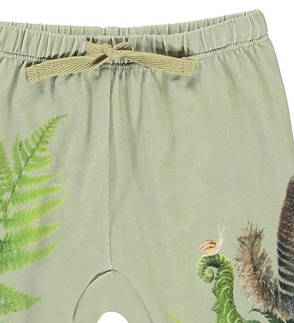 Molo Trousers - Sabb - Fern Climbers
