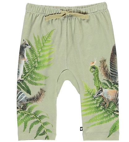Molo Trousers - Sabb - Fern Climbers