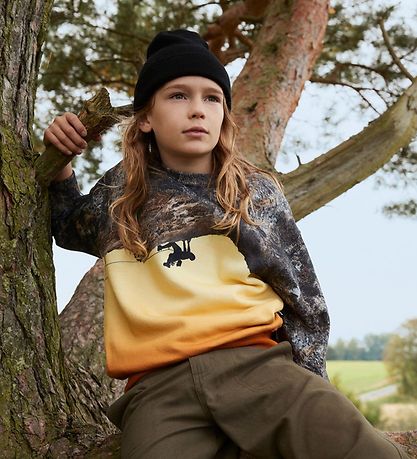 Sweat-shirt Molo - Mattis - Grimpeur Sweat-shirt Molo - Mattis - Grimpeur