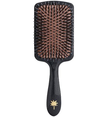 Fan Palm Hairbrush - Large - Big Star