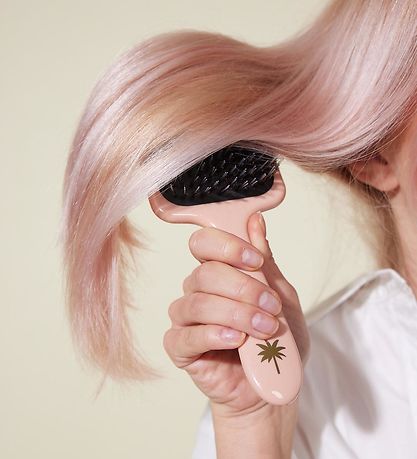 Fan Palm Hairbrush - Large - Double Bloom