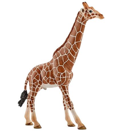 Schleich 야생 동물 - 높이: 17cm - 기린 수컷 14749