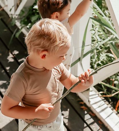 That's Mine T-shirt - 2-Pack - Tino - Stripes/Earth Brown That's Mine T-shirt - 2-Pack - Tino - Stripes/Earth Brown
