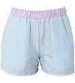 Hound Shorts - Stripe - Light Blue Hound Shorts - Stripe - Light Blue