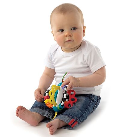 Playgro Rattle - Explorer-a-ball