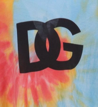 Dolce & Gabbana T-shirt - Eden - Blue/Orange w. Logo