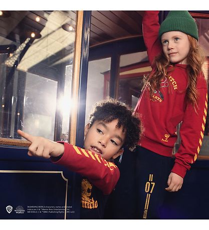 Blouse Hummel - hmlHarry Potter Boys - Scarlet Sage/Marine av. I