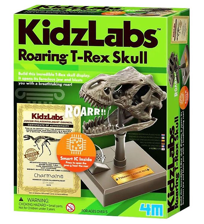 4M Skull - KidzLabs - Vrålande T-Rex Skull