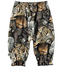 Molo Trousers - Selena - Hibernation