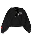 Champion Fashion Hoodie - Crop - Black Champion Fashion Hoodie - Crop - Black