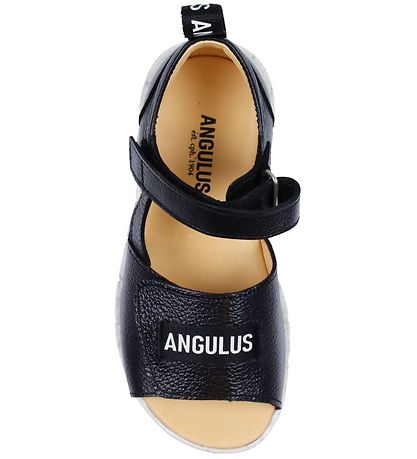 Angulus Sandal - Black w. Logo tape