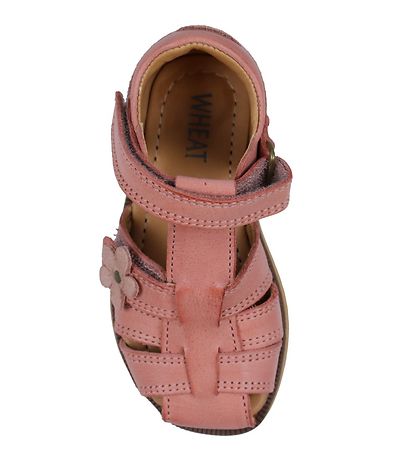 Wheat Sandals - Sky - Rose