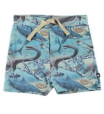 Molo Shorts - Simroy - Ancient Ocean Molo Shorts - Simroy - Ancient Ocean