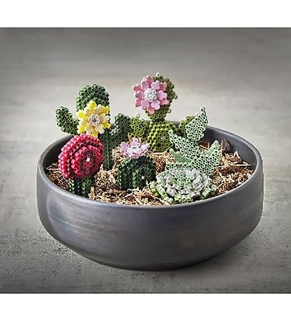 Art Hama Midi - 6000 pces - Plantes succulentes Art Hama Midi - 6000 pces - Plantes succulentes