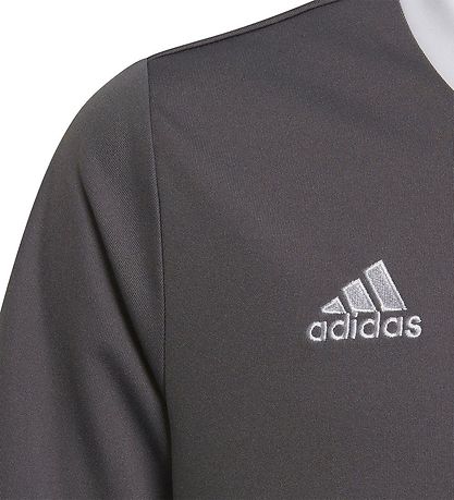 adidas Performance T-Shirt - ENT22 JSYY - Grau/Weiß