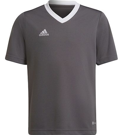 adidas Performance T-Shirt - ENT22 JSYY - Grau/Weiß