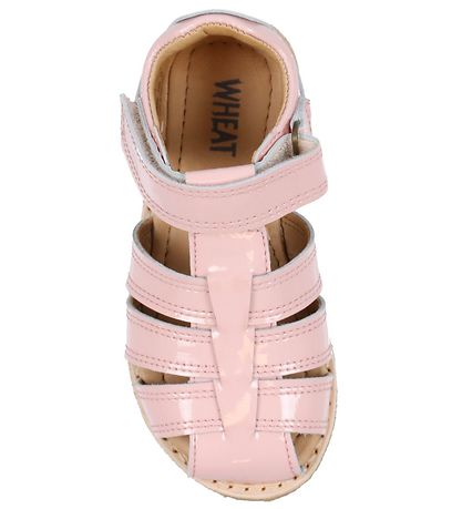 Wheat Sandals - Bailey - Powder