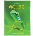 Gads Forlag Book - Small facts - Lizards - Danish Gads Forlag Book - Small facts - Lizards - Danish