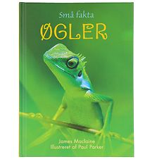 Livre Gads Forlag - Petits faits - Lézards - Danois Livre Gads Forlag - Petits faits - Lézards - Danois