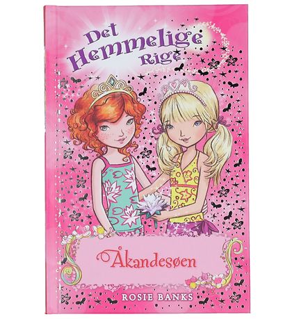 Livre Gads Forlag - Le Royaume secret - Tranche 10 - Danois Livre Gads Forlag - Le Royaume secret - Tranche 10 - Danois