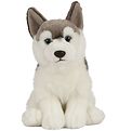 Living Nature Knuffel - 24x10 cm - Husky Hondje - Grijs/Wit Living Nature Knuffel - 24x10 cm - Husky Hondje - Grijs/Wit
