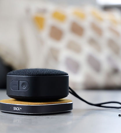 SACKit Speaker - Go 250 - Portable Bluetooth Speaker