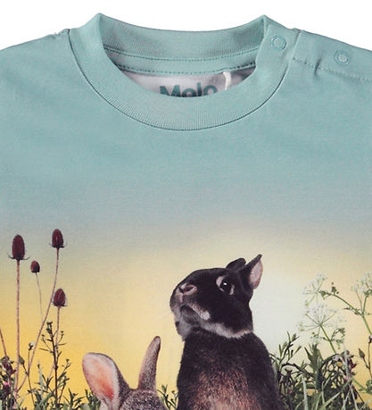 Molo Blouse - Eloy - Rabbit Life