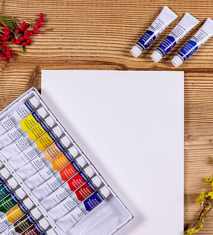 Staedtler Acrylic Paint - 24 pcs - 12 mL