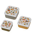 Petit Jour Paris Lunchbox Set - 3 pcs - 11.5 x 5.5 cm - The adve