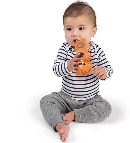 Jouet d'Activité Baby Einstein - Anneau de dentition et tigre os