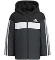 adidas Performance Puffer Jacket - LK PAD JKT - Black adidas Performance Puffer Jacket - LK PAD JKT - Black