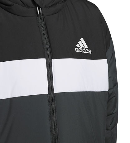 adidas Performance Steppjacke - LK PAD JKT - Schwarz adidas Performance Steppjacke - LK PAD JKT - Schwarz