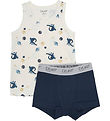 CeLaVi Underwear - Total Ellipse CeLaVi Underwear - Total Ellipse