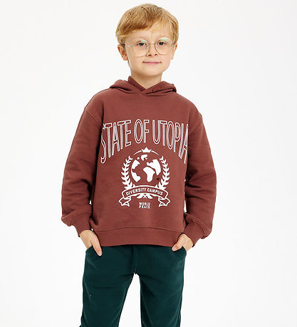 The New Kapuzenpullover - TnHenrik - Braun m. Weiß