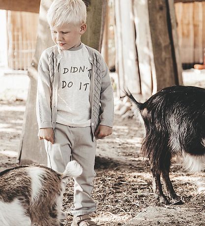 That's Mine Cardigan - Knitted - Paco - London Fog That's Mine Cardigan - Knitted - Paco - London Fog