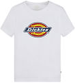 Dickies T-shirt - Youth Logo - White Dickies T-shirt - Youth Logo - White